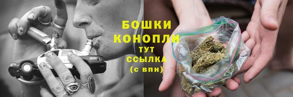 ALPHA PVP Каменногорск