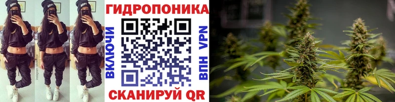 Бошки Шишки индика  Купить где  Сорск 